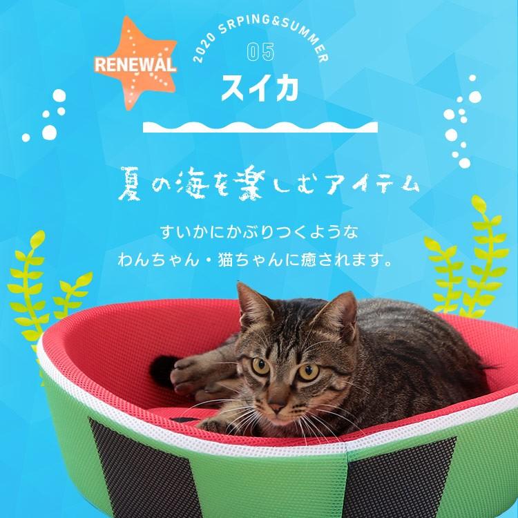 最大15 Offクーポン ペットベッド 夏用 犬 猫 ひんやり ベッド 夏用ベッド 暑さ対策 通気性 クール かわいい アイリスオーヤマ クールベッド ペットソファ Pcb19 Neotextreview Com