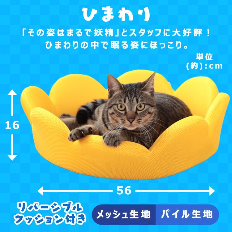 ペットベッド 夏用 犬 猫 ひんやり ベッド 夏用ベッド 暑さ対策 通気性 クール かわいい アイリスオーヤマ 犬 猫 夏用 クールベッド ペットソファ｜irisplaza｜11