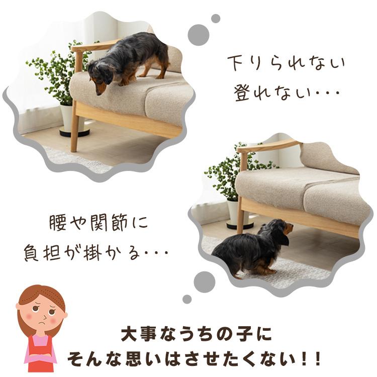 IRIS OHYAMA（アイリスオーヤマ） ペットステップ 犬 2段 収納