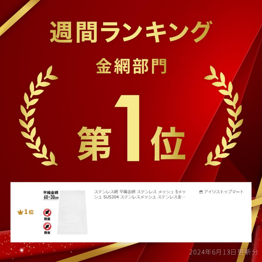ステンレス網 メッシュ 平織金網 ステンレス 5メッシュ SUS304 ステンレスメッシュ ステンレス金網 金網 susメッシュ 平織 産業用 600x300mm 濾過網 防鼠 | ブランド登録なし | 01