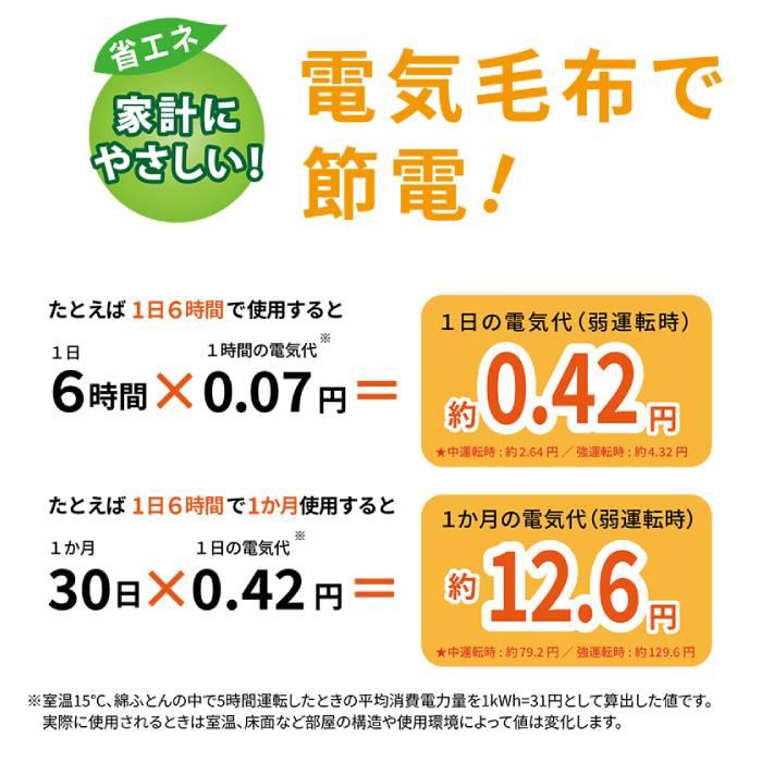 広電（KODEN） 電気毛布 敷き毛布 130×80cm フランネル 温度調整 ダニ