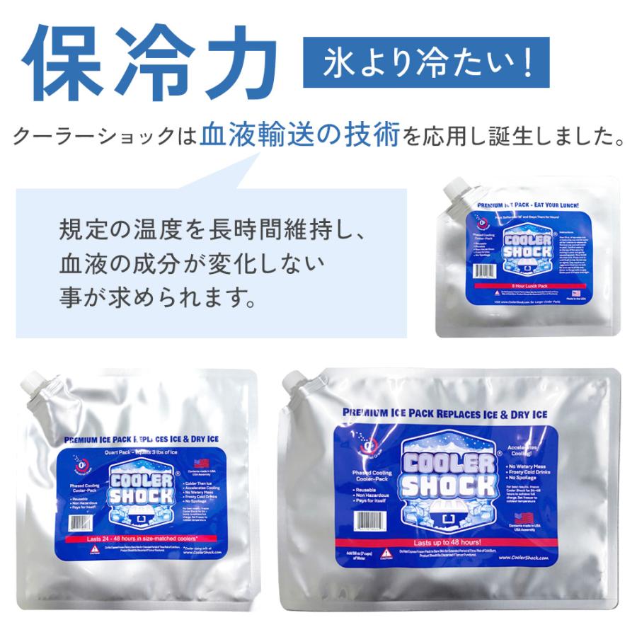 クーラーショック【Ｍｘ4点セット】−7.8度を長時間キープする氷点下保冷剤 クーラーショック【Mx4点セット】−7.8度を長時間キープする氷点下