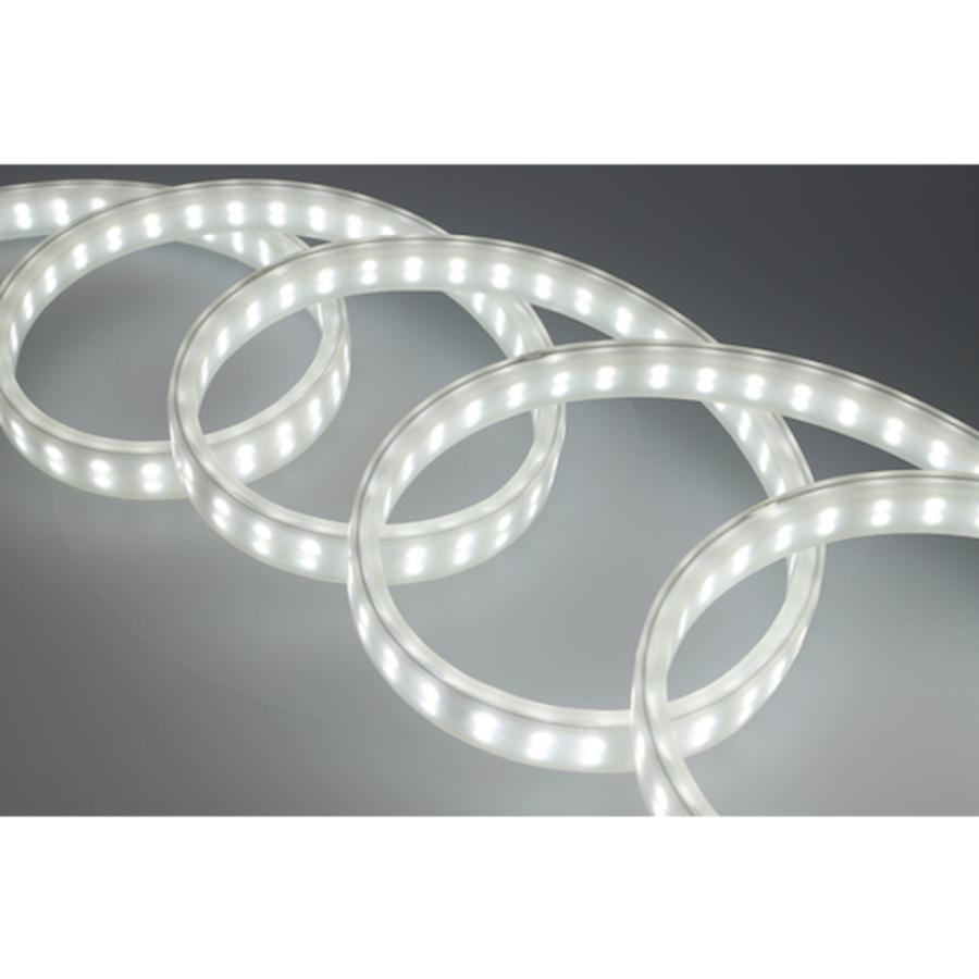 【10本おまとめ】LED テープライト 5m 照明 ライト 店内装飾 GENTOS（ジェントス） テープライト led 5m 2m 11m 10m 暗所作業 建設