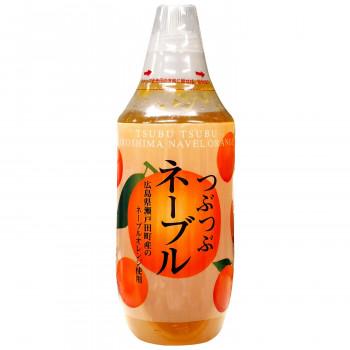 北川村ゆず王国　つぶつぶネーブル　480g　12個セット　22053