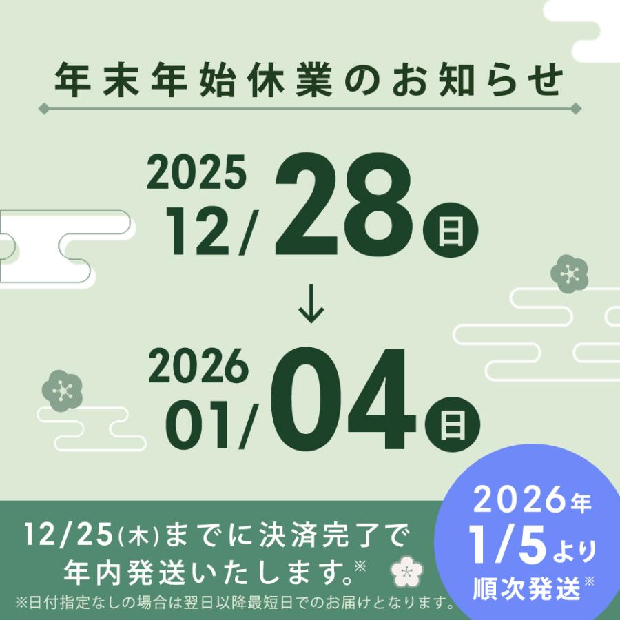 ルンバ ロボット掃除機 水拭き 自動ゴミ収集 コンボ i5＋ アイロボット