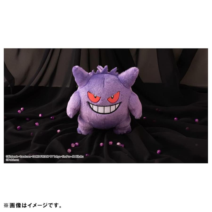 タカラトミーアーツ(TAKARATOMY A.R.T.S) ポケモン キミにきめた