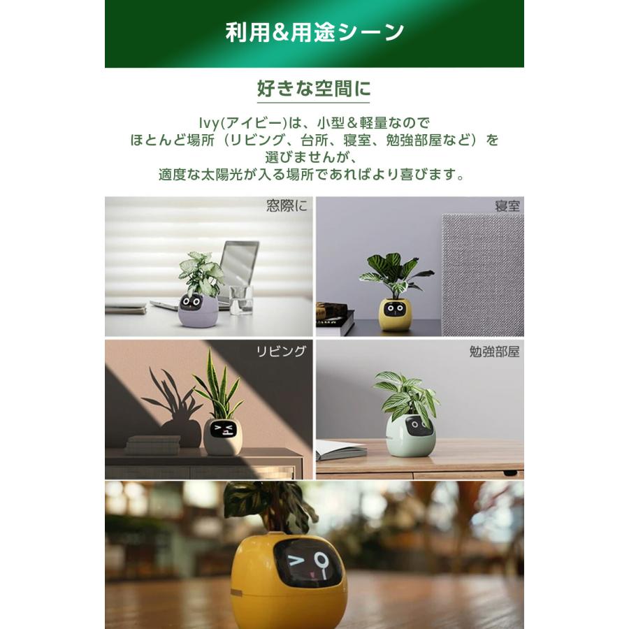Ivyスマートプランター まるでペットみたい！？に植物を育成