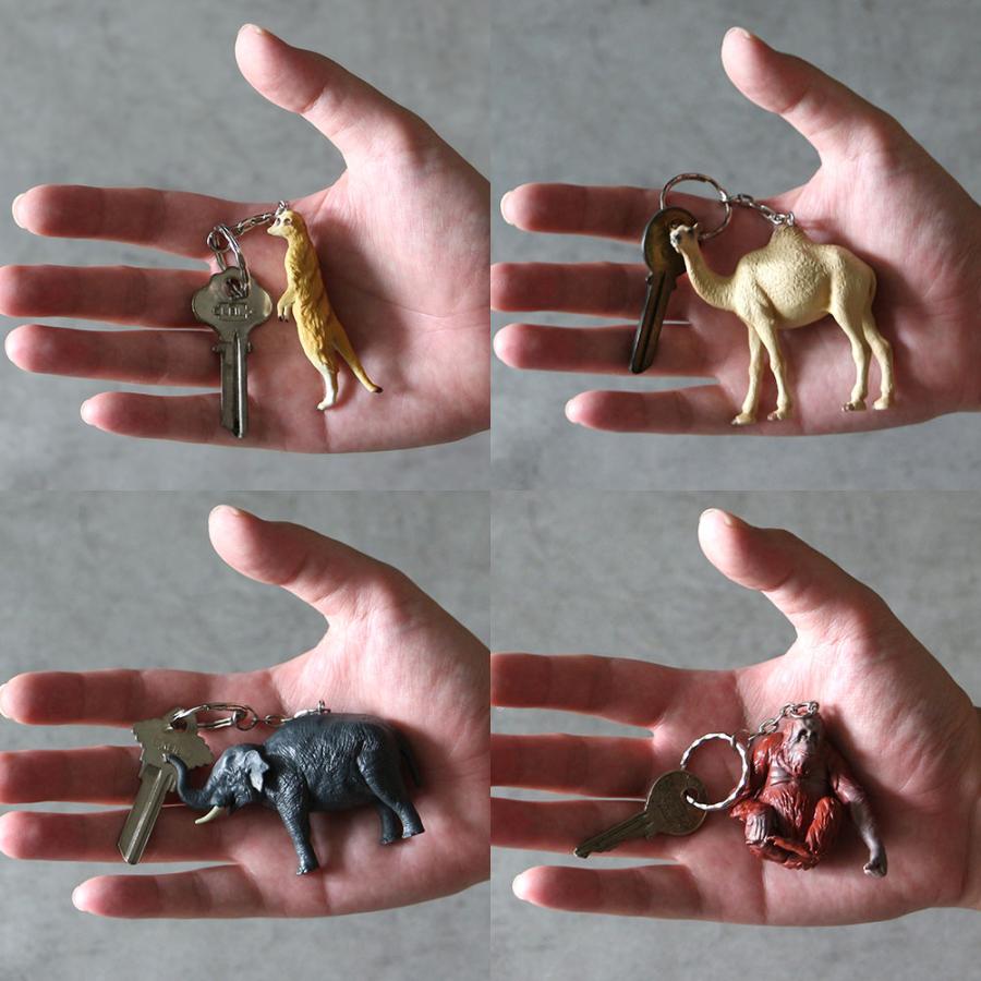 コリンシアン Tiger Beer ロイ・キーン　希少品 レア コリンシアン Tiger Beer ロイ・キーン 希少品 レア