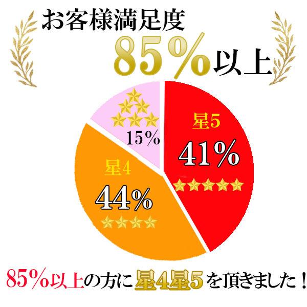 ガードル お腹引き締め ショーツ 補正 下着 メッシュ ハイウエスト 下半身痩せ 骨盤矯正 パンツ 効果 骨盤 | ブランド登録なし | 16