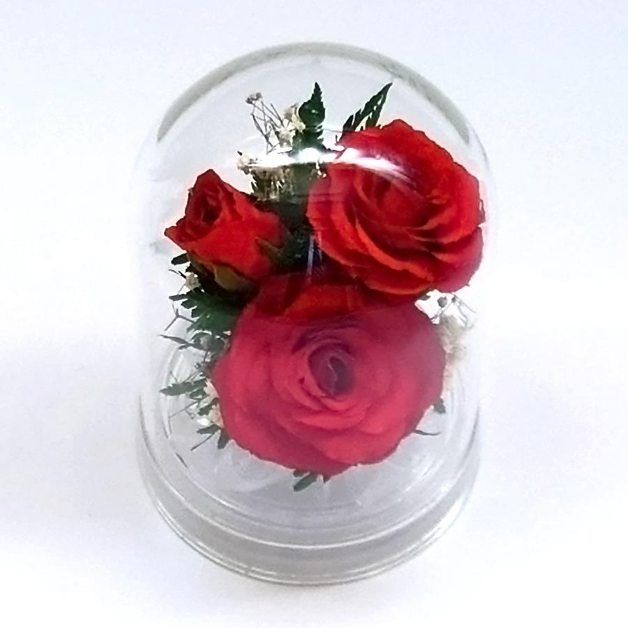ガラスドーム 花 ドライフラワー ボトルフラワー ローズ レッド バラ