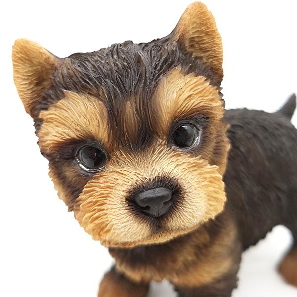 犬 置物 ヨークシャテリア 仔犬 玄関 小さい かわいい リアル