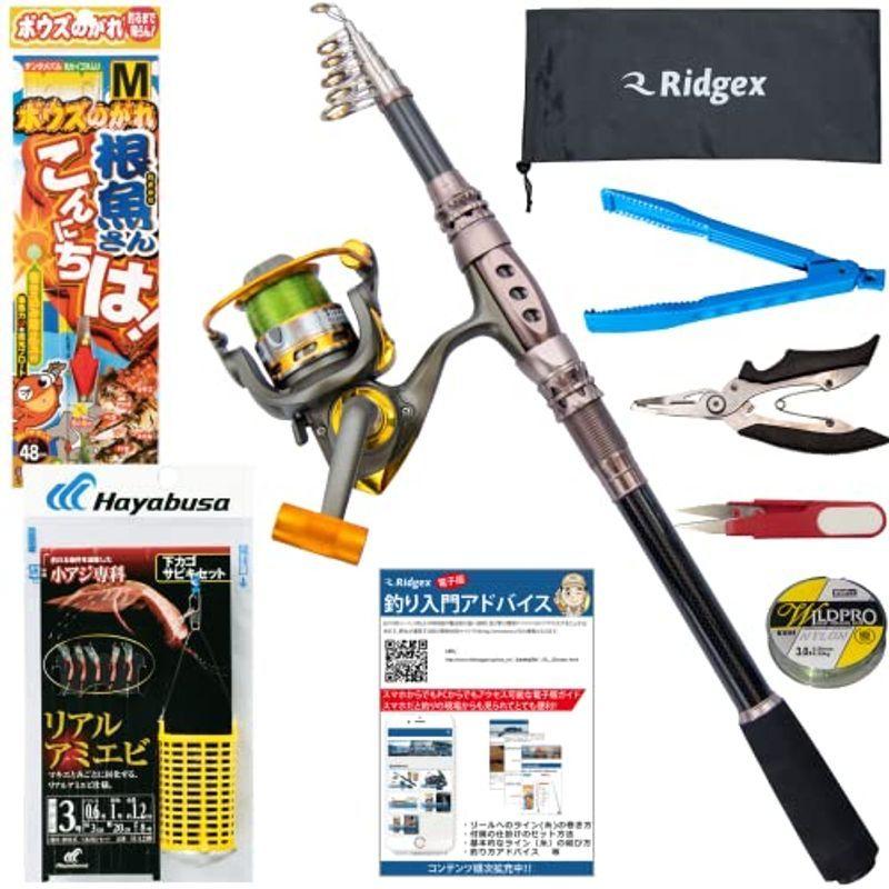 売り切れ必至 Ridgex 釣りセット 初心者向け サビキ釣り ちょい投げ釣り 仕掛け付き 電子入門ガイド付き カーボンロッド 2 1m 振り出し式 釣り その他ロッド 釣り竿 Www We Job Com