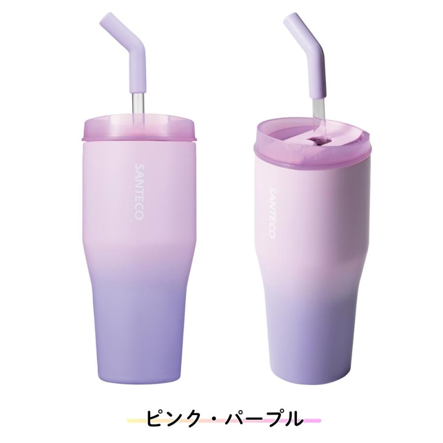 VALIANT GIRL 未使用タンブラー シービージャパン SANTECO ANIE 2WAYタンブラー 670ml タンブラー マグ