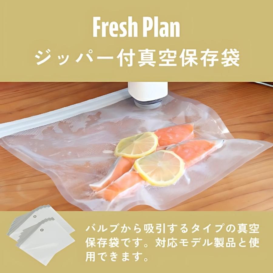 ドリテック Fresh Plan ジッパー付真空保存袋 S Mセット ZVS200XXBG1