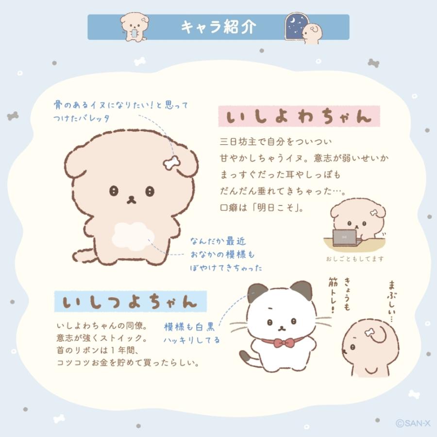 San-X（サンエックス） いしよわちゃん おでかけマルチケース CA62301