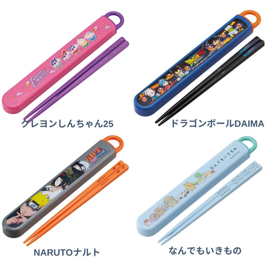 スケーター 抗菌 食洗機対応箸箱セット ABS2AMAG メール便対応 箸箱