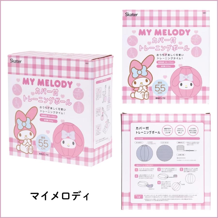 スケーター VB1 カバー付きバランスボール バランスボール 55cm 体幹