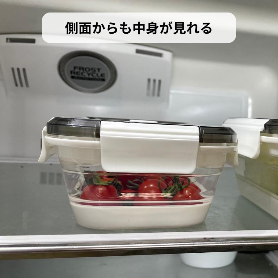 Felio（フェリオ） 富士商 たためるシリコン保存＆ランチBOX 長方形