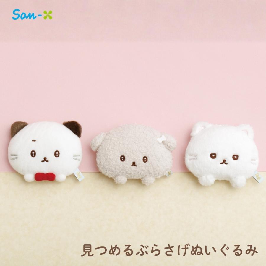 San-X（サンエックス） いしよわちゃん 後輩ちゃん登場 見つめる