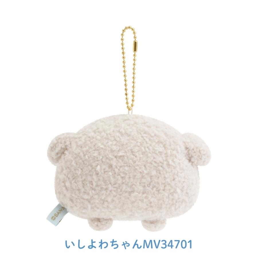 San-X（サンエックス） いしよわちゃん 後輩ちゃん登場 見つめる