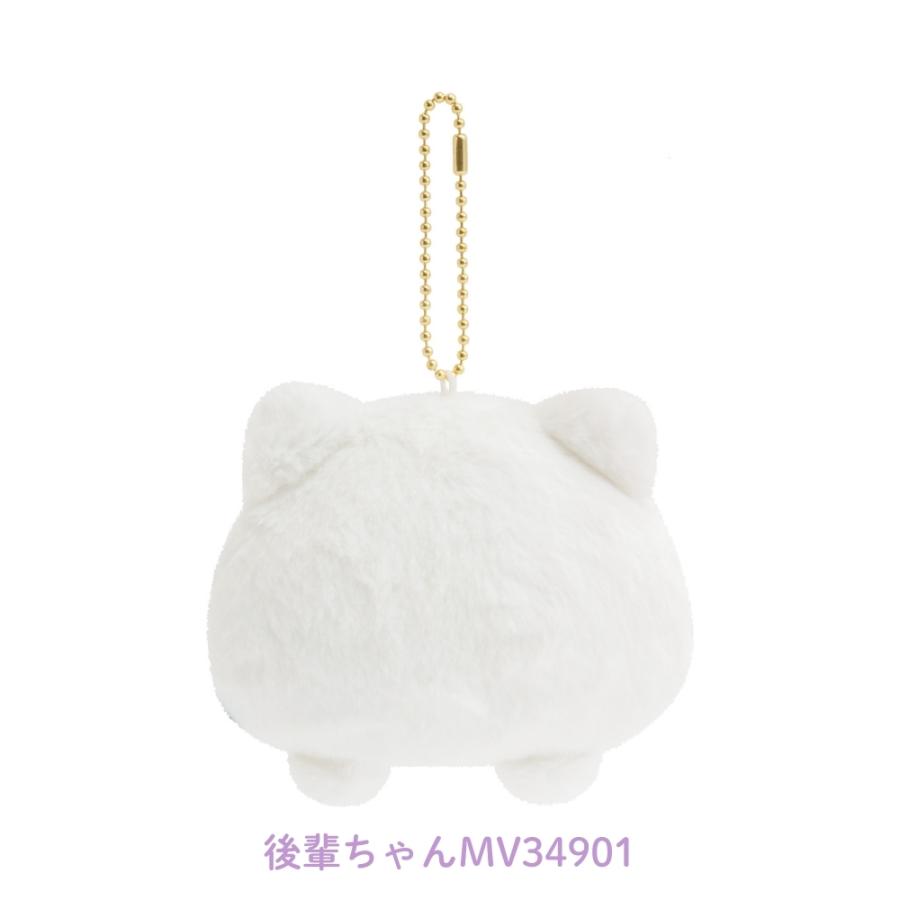 San-X（サンエックス） いしよわちゃん 後輩ちゃん登場 見つめる