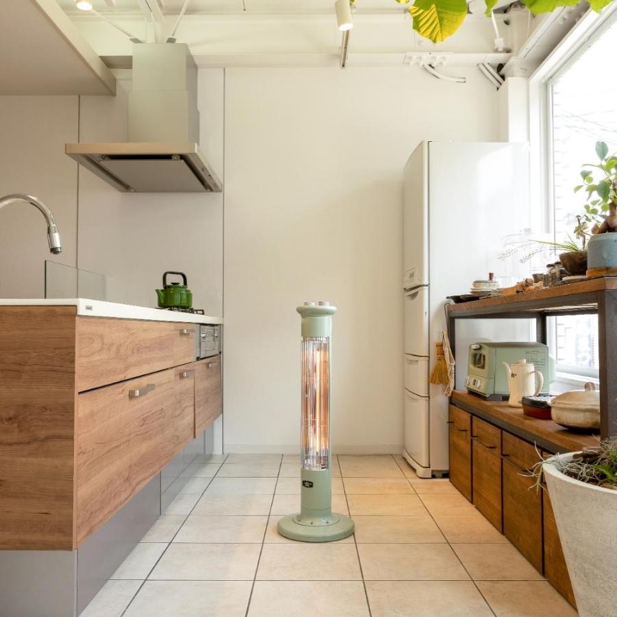 アラジン（Aladdin） 遠赤グラファイトヒーター 1灯管 CAH-1G9D 暖房機