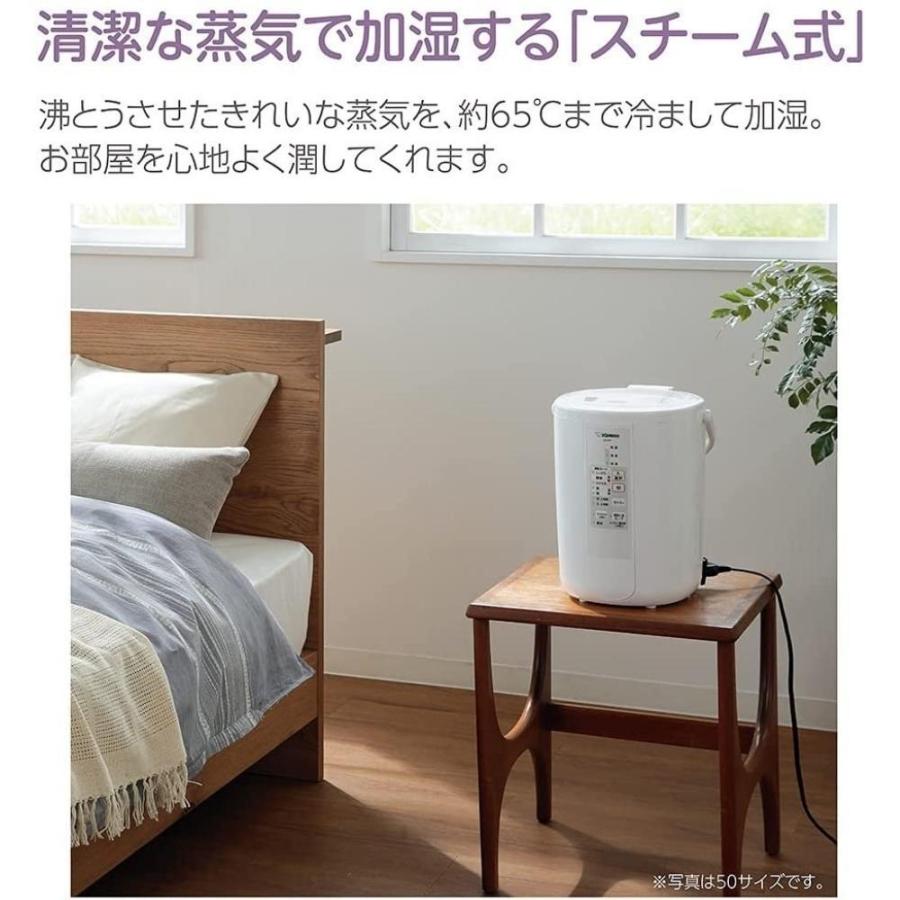 象印（ZOJIRUSHI） 加湿器 スチーム 卓上 EE-RR50 日本製 3L タイマー