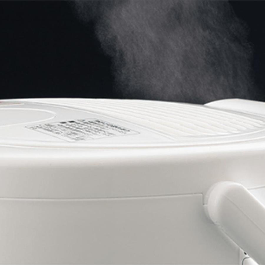 象印（ZOJIRUSHI） 加湿器 スチーム 卓上 EE-RR50 日本製 3L タイマー