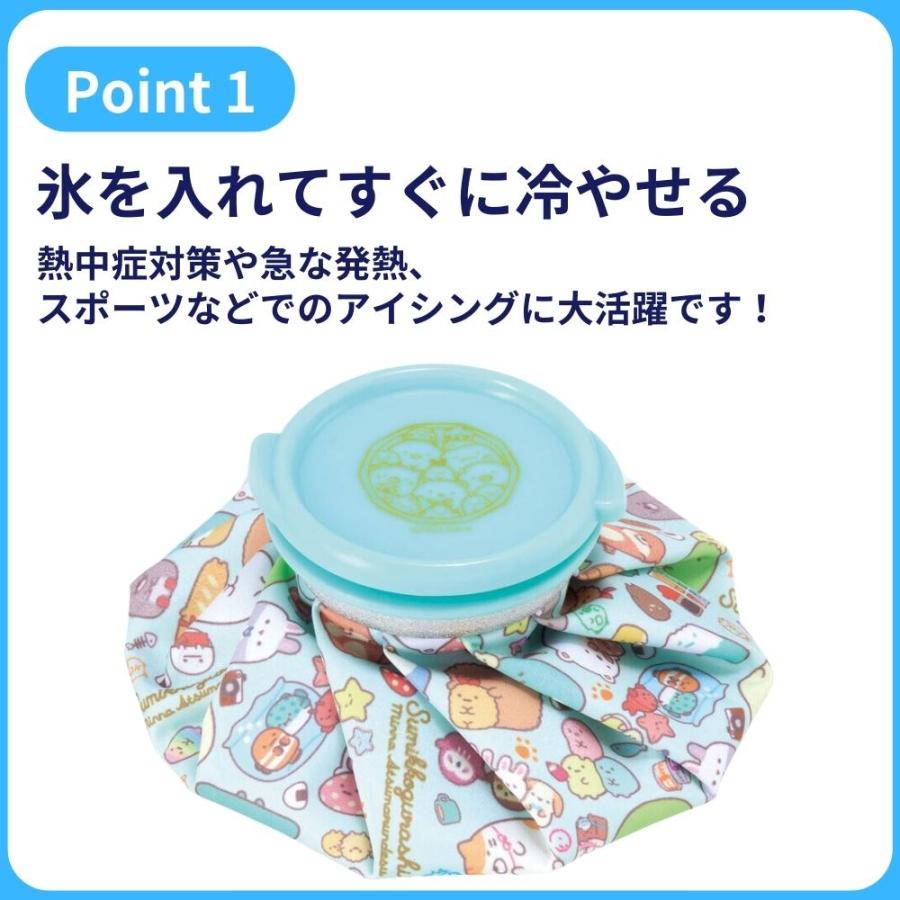 スケーター skater ICB1 氷嚢 氷のう Sサイズ アイスバッグ アイス