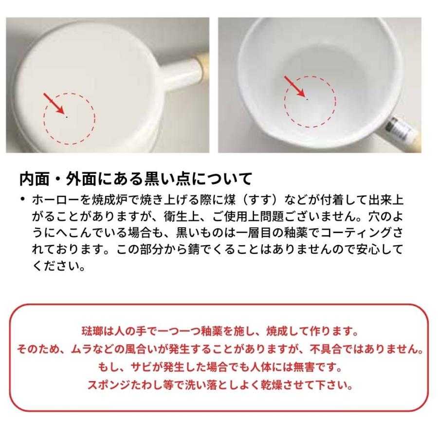 富士ホーロー Remo 琺瑯 プレート 18cm RM-18PL.BK キャンプ 皿 食器