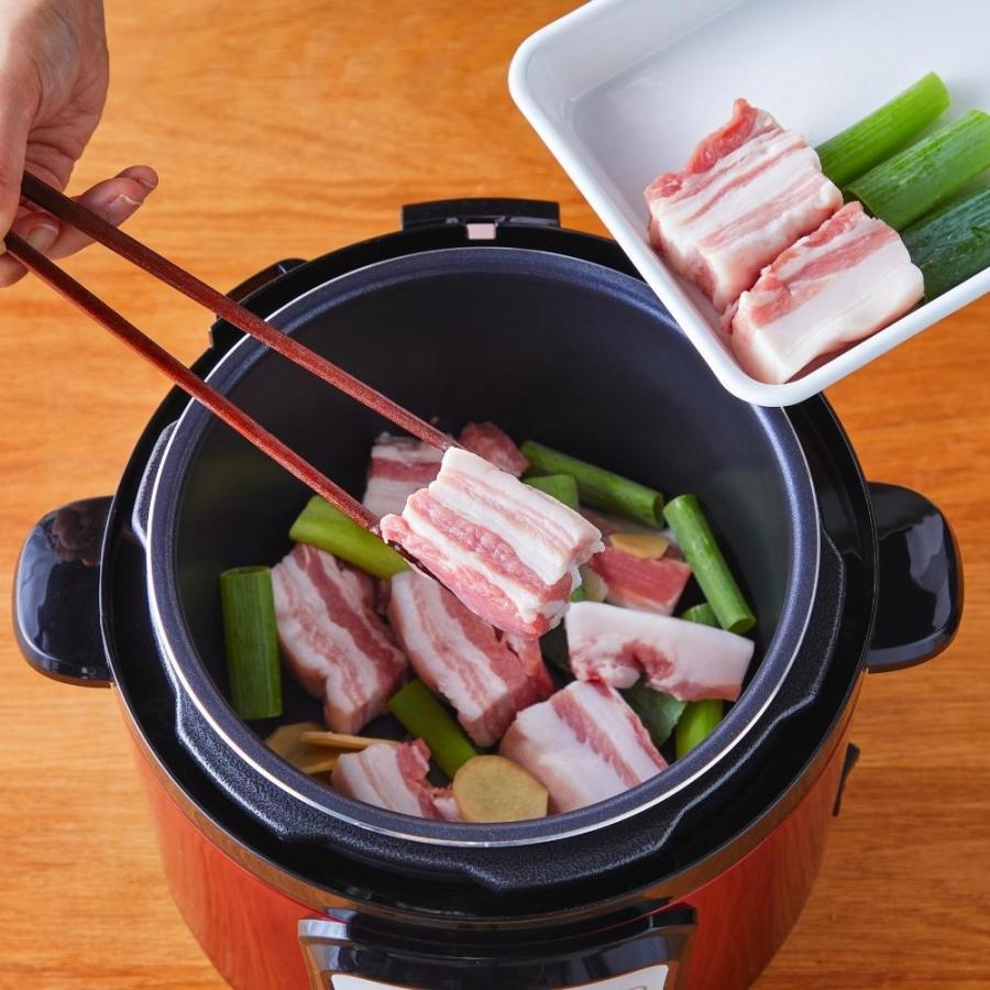 D&S D＆S 家庭用マイコン 電気 圧力鍋 4.0L STL-EC50 レシピ 4l