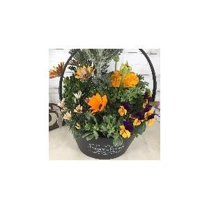 季節の寄せ植え イエロー オレンジ系 植物おまかせ バスケットプランター Groupplanting Yellow 彩り生活 Laviecloree 通販 Yahoo ショッピング