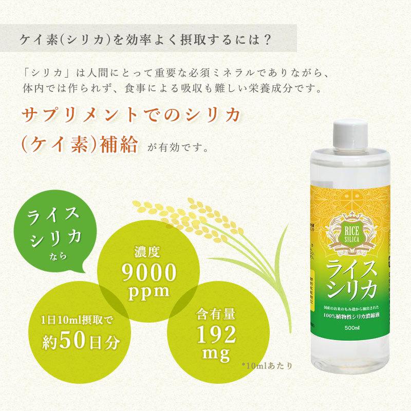 シルクジャパン テラシリカ 珪素 - 健康用品