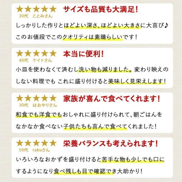 4枚set】ランチプレート おしゃれ 仕切り 皿 陶器 美濃焼 プレート 