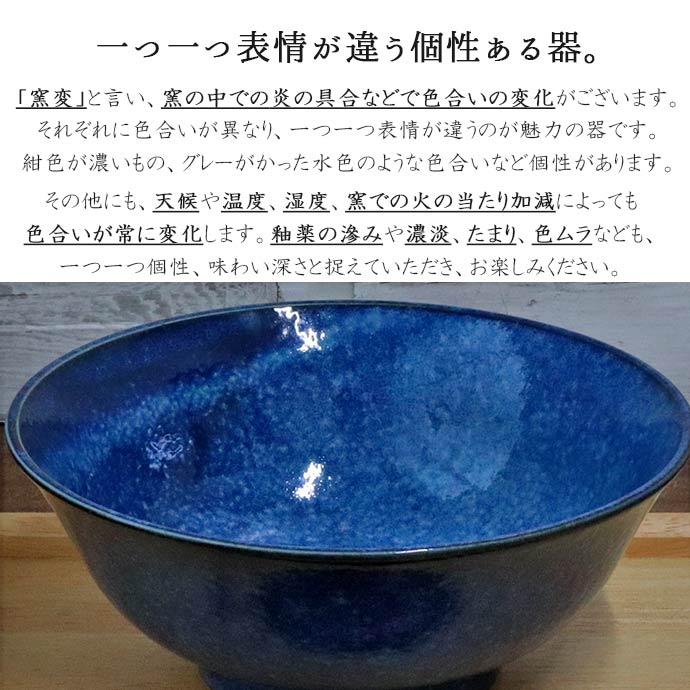 美濃焼 窯変 ネイビー どんぶり 2個セット 径19cm 日本製 磁器 食器 丼