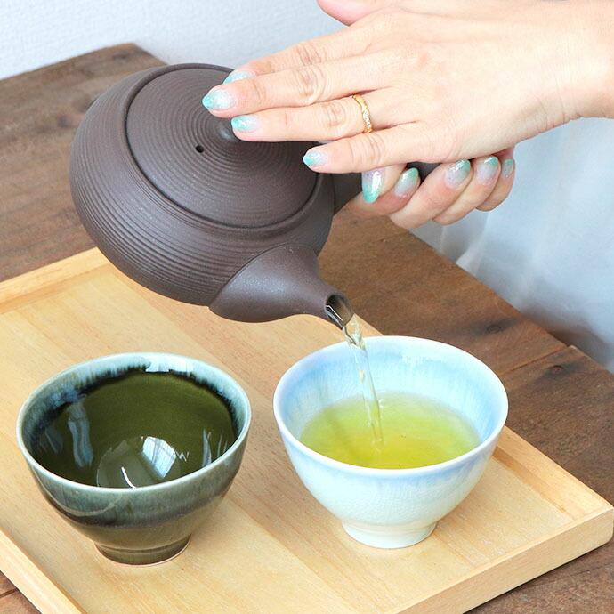 常滑焼 平丸 線段 セラメッシュ 急須 黒 茶こし 一体型 380ml 日本製
