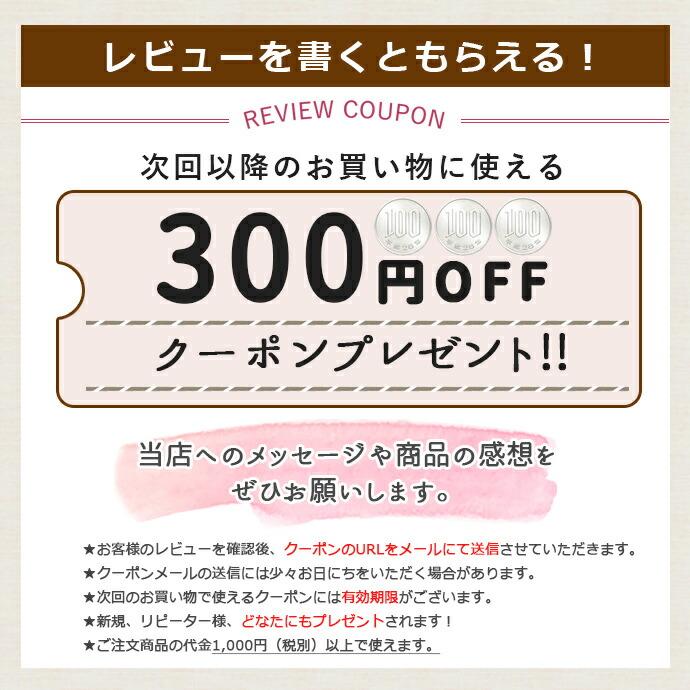 アウトレット ランチプレート 陶器 仕切り皿 便利 仕切り プレート 