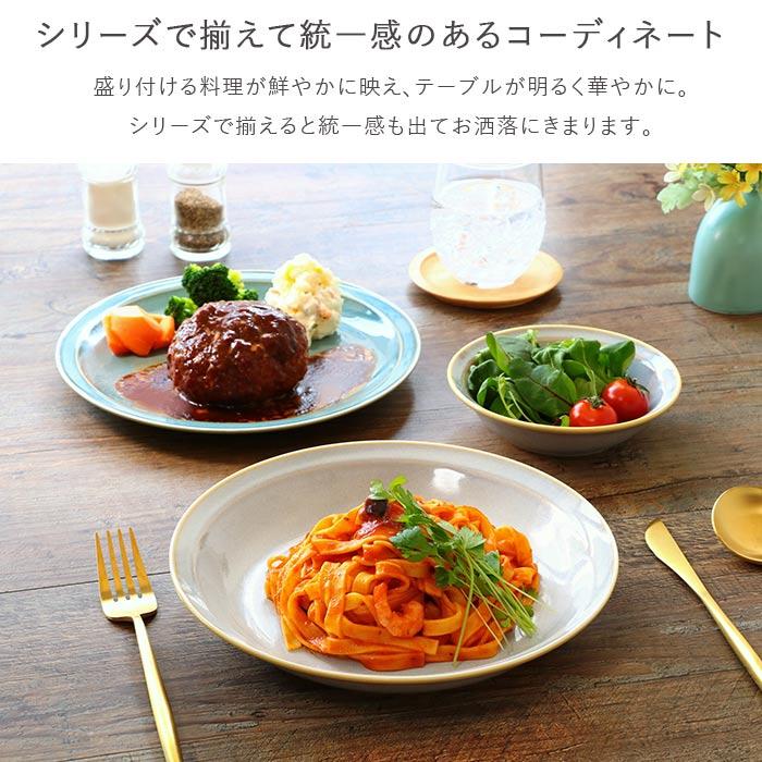 レトロ カレー パスタ皿 プレート 径22cm 2色セット 日本製 美濃焼