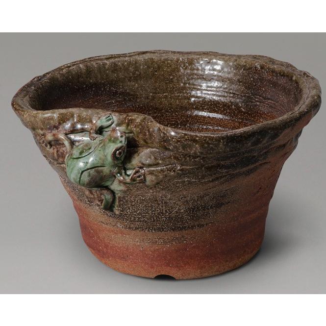大流行中 金魚鉢 睡蓮鉢 陶器 メダカ鉢 水鉢 信楽焼 ビードロ蛙付めだか鉢 信楽焼 上質で快適 Www Shandilyaz Com