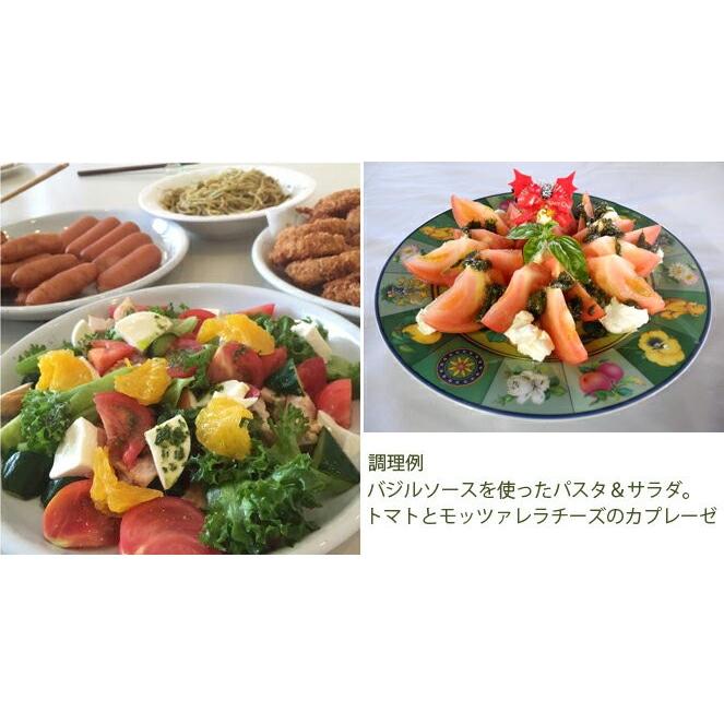 ハーブ農家が作ったバジルソース バジルソース 180g 3本セット 和歌山県産 サラダ パスタ ピザなど チーズとの相性が良い 数量限定 4月下旬仕上がり予定 Basilsauce3 彩り屋 通販 Yahoo ショッピング