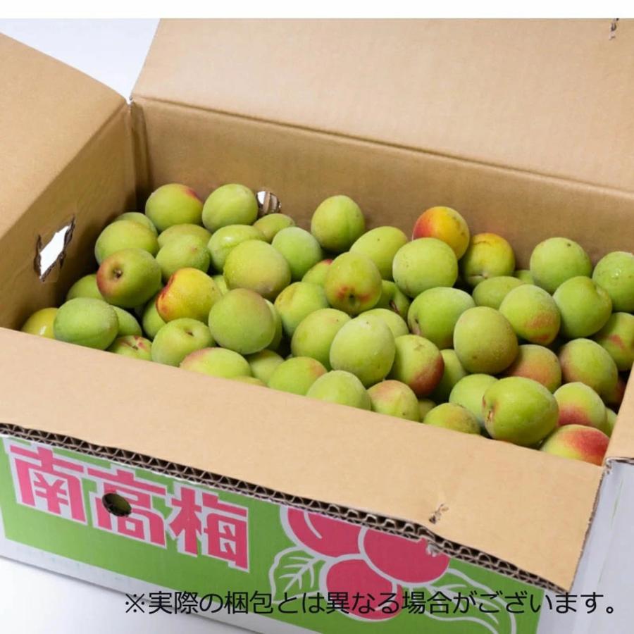 青梅 南高梅 1kg 栽培期間中農薬不使用 熊野 生梅 青うめ 紀州産 無