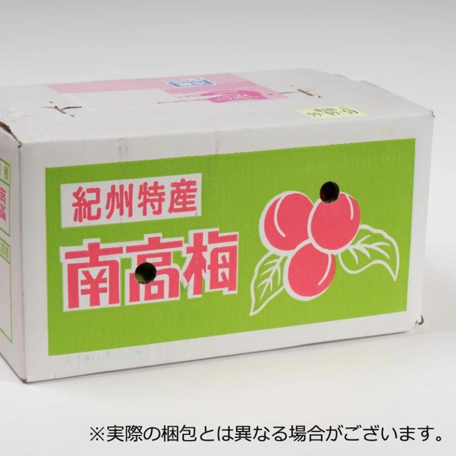 青梅 南高梅 1kg 栽培期間中農薬不使用 熊野 生梅 青うめ 紀州産 無