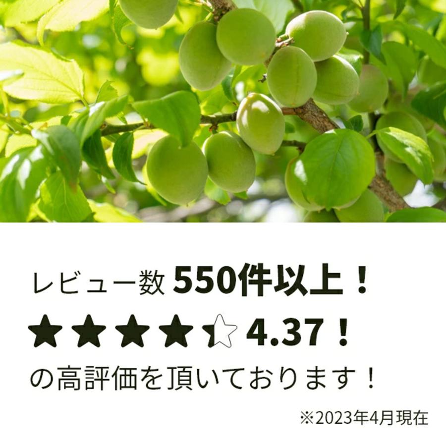 青梅 南高梅 1kg 栽培期間中農薬不使用 熊野 生梅 青うめ 紀州産 無