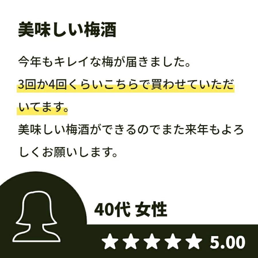 青梅 南高梅 1kg 栽培期間中農薬不使用 熊野 生梅 青うめ 紀州産 無