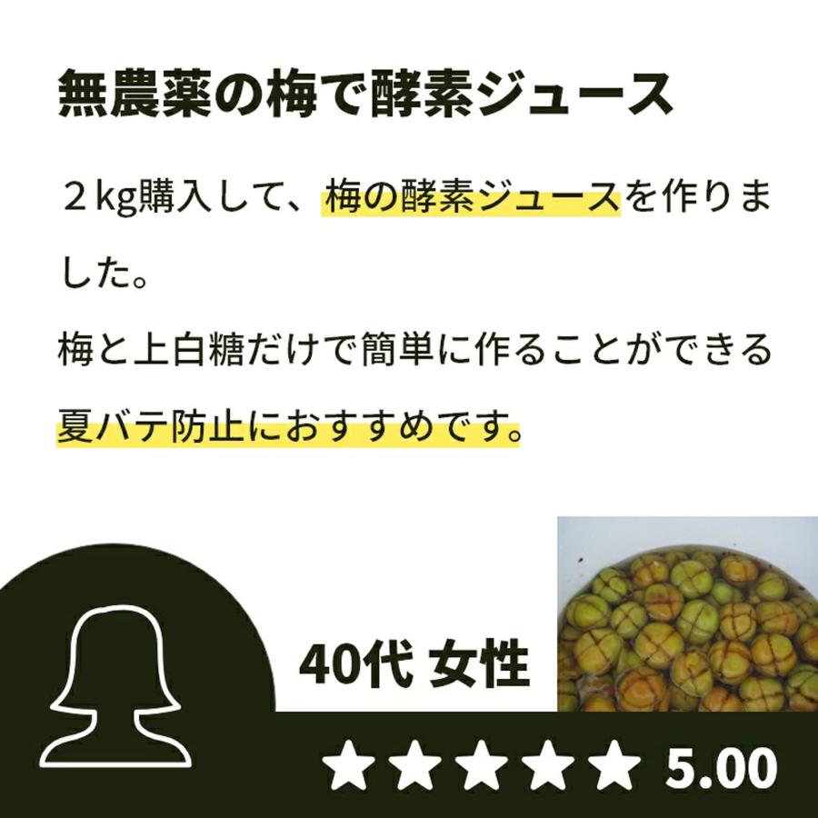 青梅 南高梅 1kg 栽培期間中農薬不使用 熊野 生梅 青うめ 紀州産 無