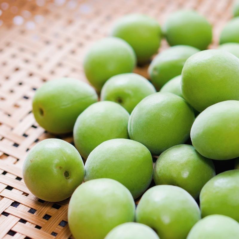 完全無農薬(自然農法)手摘み完熟直前梅 大粒！① - 通販 - guianegro