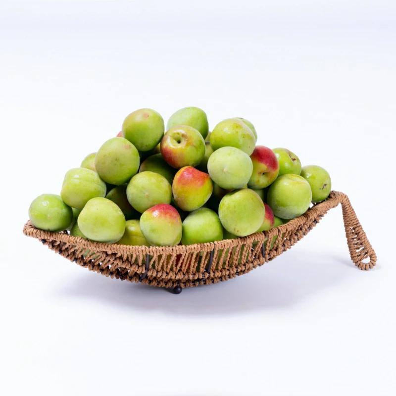 樹熟梅 きじゅくうめ 8kg 無農薬 南高梅 熊野 生梅 手摘み 完熟