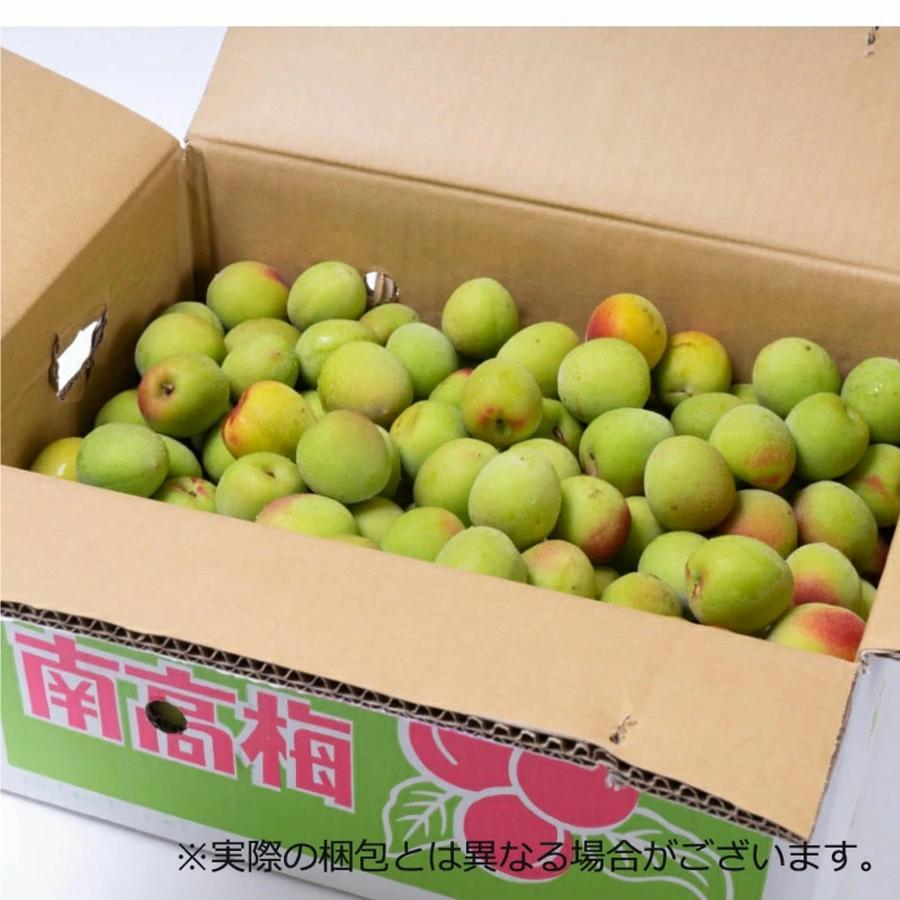 樹熟梅 1kg 栽培期間中農薬不使用 南高梅 熊野 生梅 手摘み 完熟梅