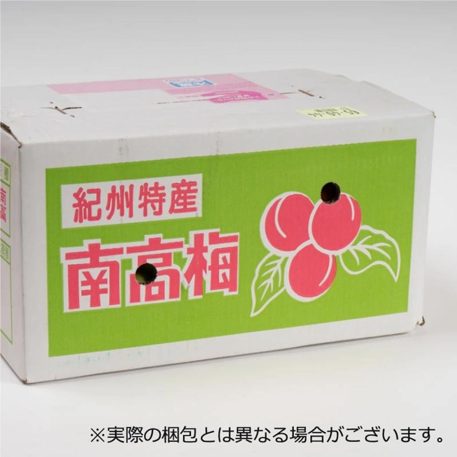 樹熟梅 1kg 栽培期間中農薬不使用 南高梅 熊野 生梅 手摘み 完熟梅