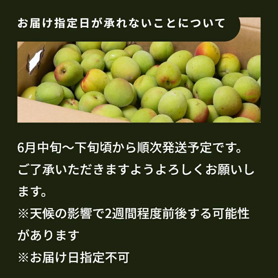 樹熟梅 1kg 栽培期間中農薬不使用 南高梅 熊野 生梅 手摘み 完熟梅